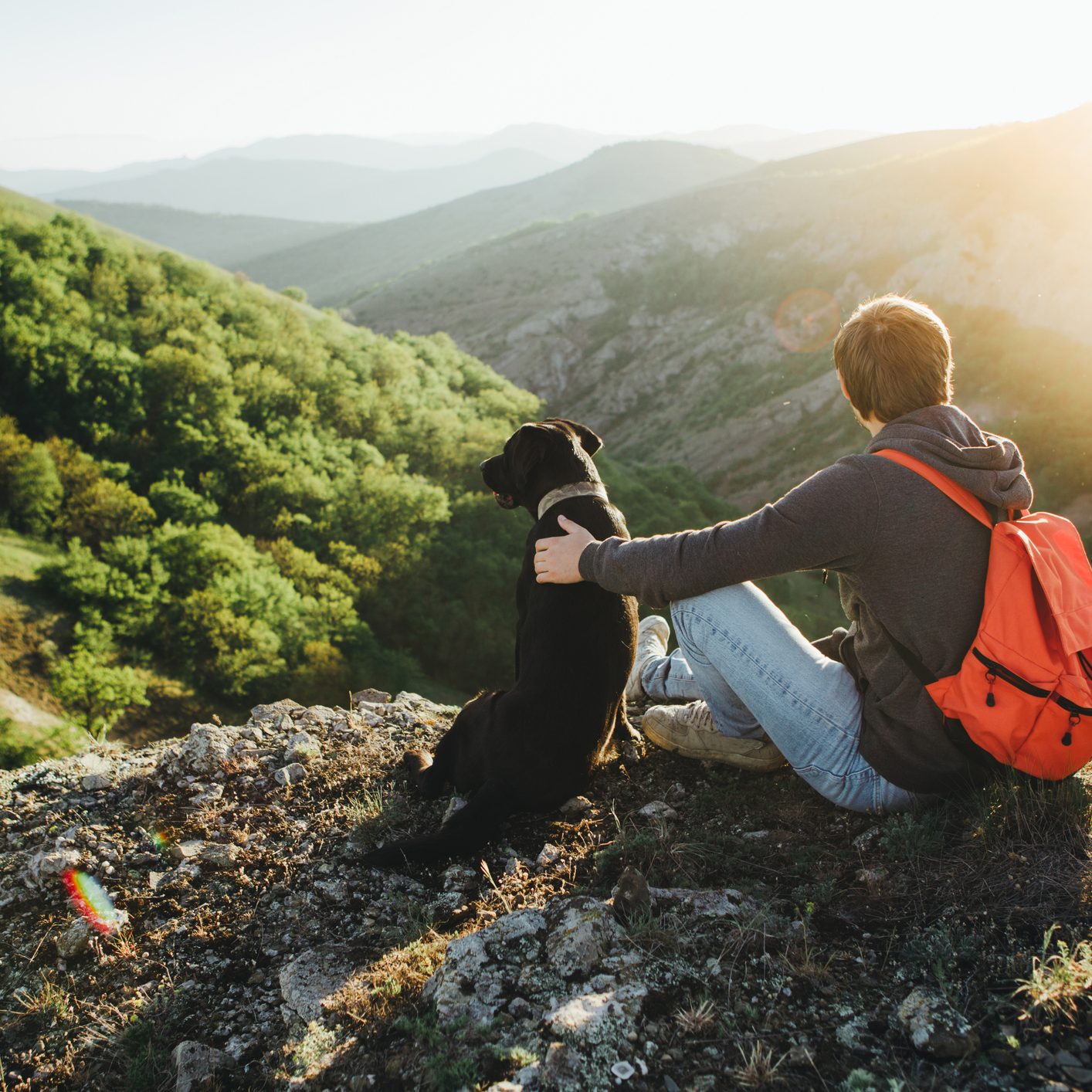 A man sits on a halt during a hike and hugs a black labrador against a beautiful gorge.